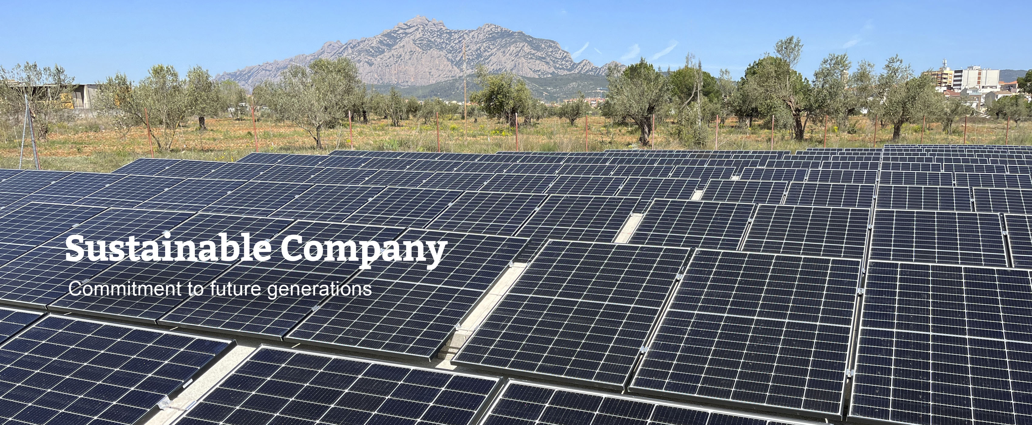 Sustainable Company